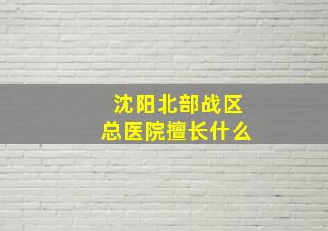 沈阳北部战区总医院擅长什么