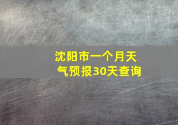 沈阳市一个月天气预报30天查询