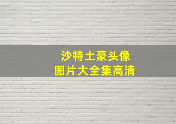 沙特土豪头像图片大全集高清