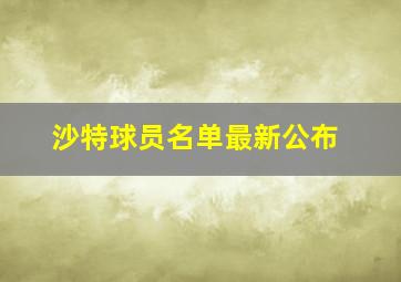 沙特球员名单最新公布