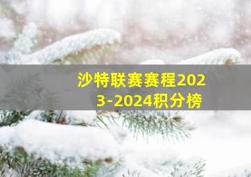 沙特联赛赛程2023-2024积分榜