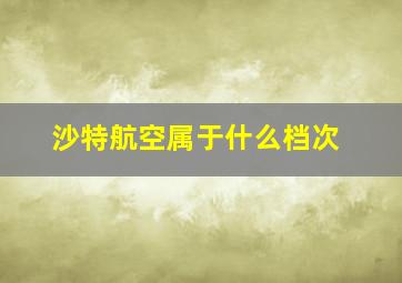 沙特航空属于什么档次