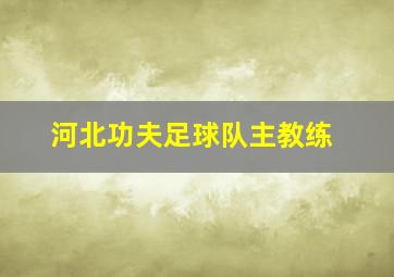 河北功夫足球队主教练