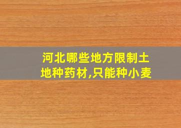 河北哪些地方限制土地种药材,只能种小麦