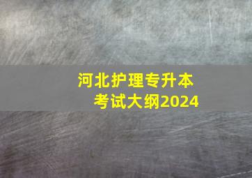 河北护理专升本考试大纲2024