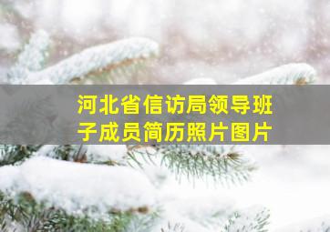 河北省信访局领导班子成员简历照片图片