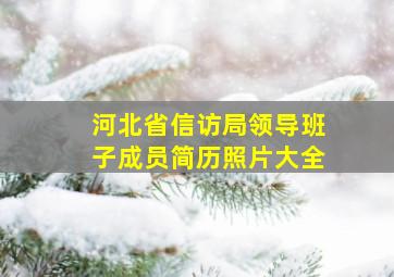 河北省信访局领导班子成员简历照片大全