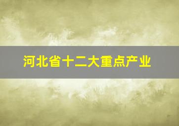 河北省十二大重点产业