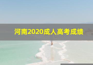 河南2020成人高考成绩