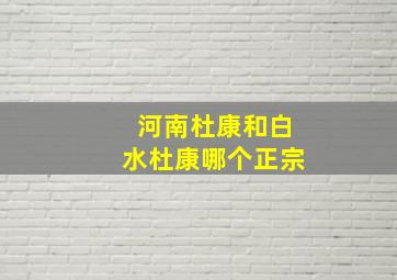 河南杜康和白水杜康哪个正宗