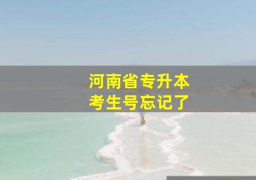 河南省专升本考生号忘记了