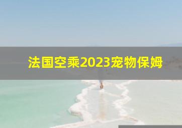 法国空乘2023宠物保姆