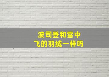 波司登和雪中飞的羽绒一样吗