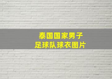 泰国国家男子足球队球衣图片