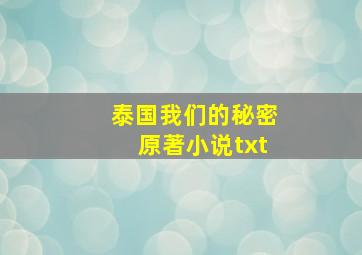 泰国我们的秘密原著小说txt