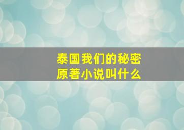 泰国我们的秘密原著小说叫什么