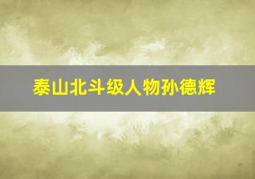 泰山北斗级人物孙德辉