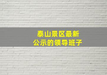 泰山景区最新公示的领导班子