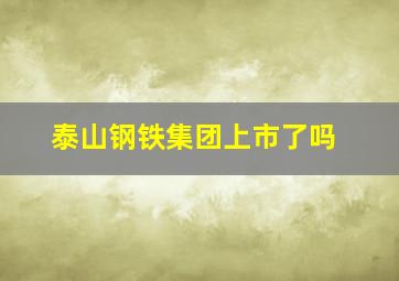 泰山钢铁集团上市了吗