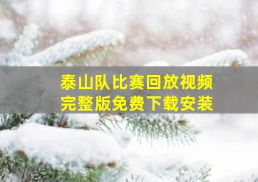 泰山队比赛回放视频完整版免费下载安装