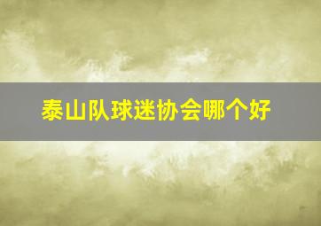 泰山队球迷协会哪个好