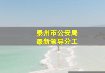 泰州市公安局最新领导分工