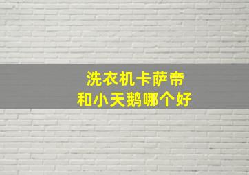 洗衣机卡萨帝和小天鹅哪个好