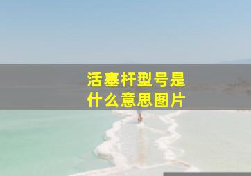 活塞杆型号是什么意思图片