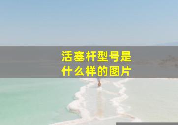 活塞杆型号是什么样的图片