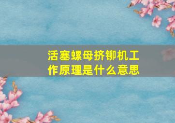 活塞螺母挤铆机工作原理是什么意思