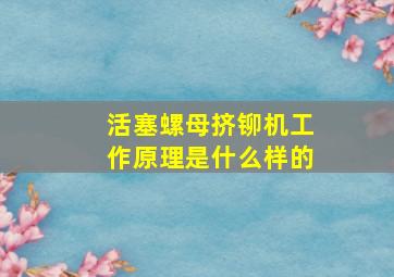 活塞螺母挤铆机工作原理是什么样的