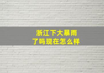 浙江下大暴雨了吗现在怎么样