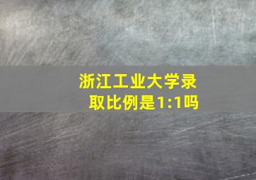 浙江工业大学录取比例是1:1吗