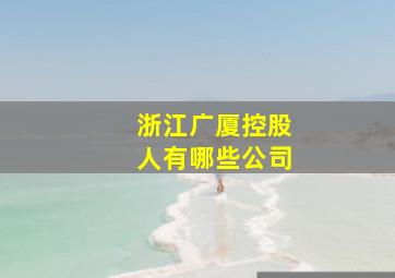 浙江广厦控股人有哪些公司