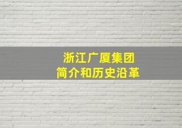 浙江广厦集团简介和历史沿革