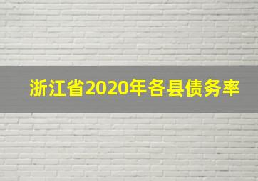 浙江省2020年各县债务率