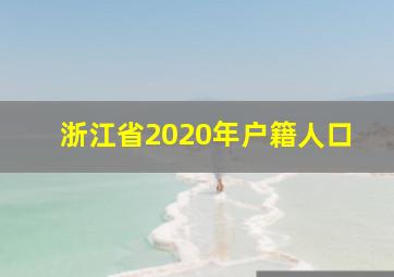 浙江省2020年户籍人口