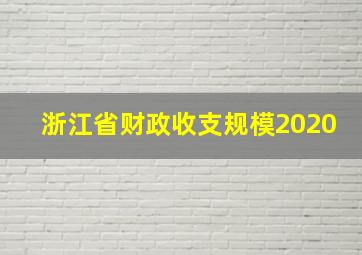 浙江省财政收支规模2020