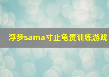 浮梦sama寸止龟责训练游戏