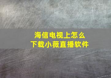 海信电视上怎么下载小薇直播软件