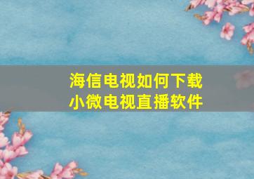 海信电视如何下载小微电视直播软件