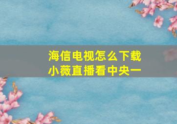 海信电视怎么下载小薇直播看中央一