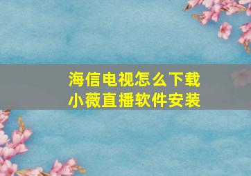 海信电视怎么下载小薇直播软件安装