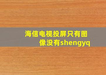 海信电视投屏只有图像没有shengyq