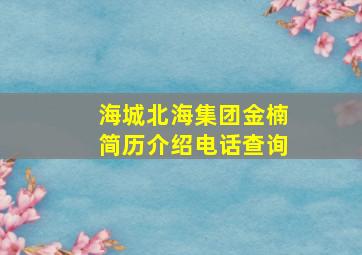 海城北海集团金楠简历介绍电话查询