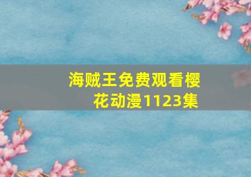 海贼王免费观看樱花动漫1123集