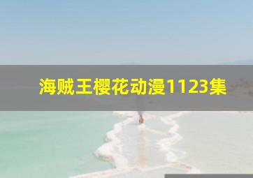 海贼王樱花动漫1123集