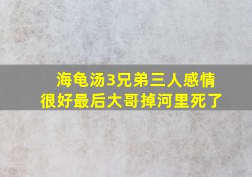 海龟汤3兄弟三人感情很好最后大哥掉河里死了