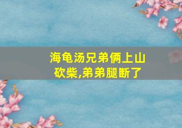 海龟汤兄弟俩上山砍柴,弟弟腿断了