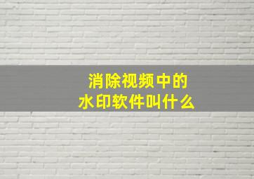 消除视频中的水印软件叫什么